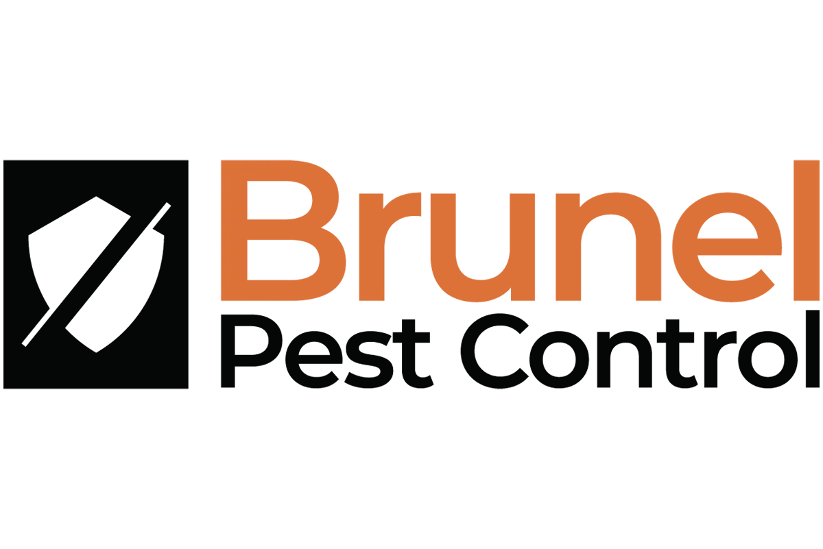 Brunel Pest Control Portsmouth